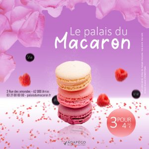 Affiche de promotion pour des macarons, sur fond gourmand et avec des fruits tombant autour des macarons. Réalisé avec Photoshop.